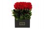 49 red roses in a 30 cm square box