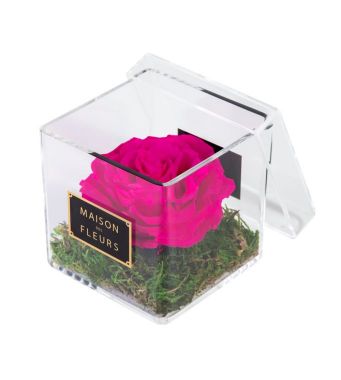 1 Large Long Life Fuschia Rose in a Clear Acrylic Square box 10x10cm