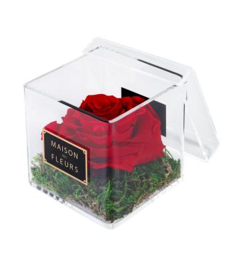 1 Large Long Life Red Rose in a Clear Acrylic Square box 10x10cm