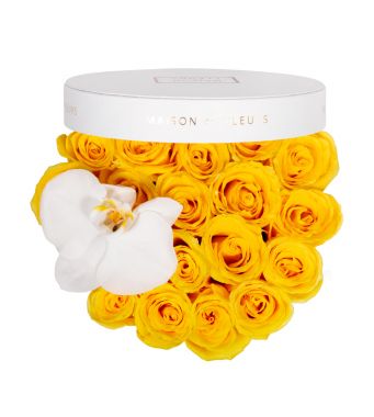 Yellow Roses and White Orchid Bloom in 20x15cm White Round MDF Box