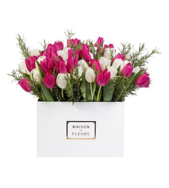 White And Fuchsia Fresh Tulips Arrangement In A 30x30cm White Square Box