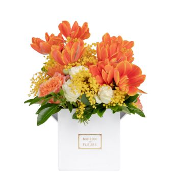 Tulips, garden roses and Mimosa make for the ultimate stars of this arrangement in 15cm box