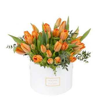 Tulips, the promising flower of spring, making a statement in round box