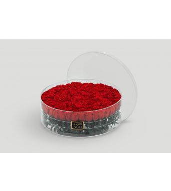 Long Life Roses - Qty 138