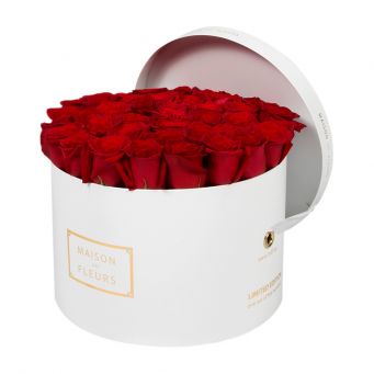 Red Roses in White Round Box