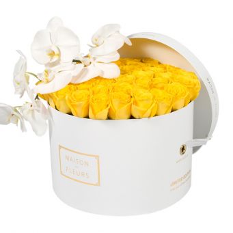 Yellow Roses with White Orchid Stem in White Round Box