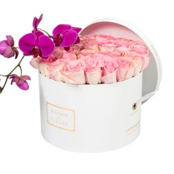 Baby Pink Roses with Purple Orchid Stem in White Round Box