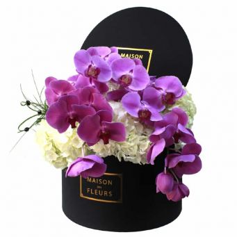 2 Purple Orchid Stems with White Hydrangeas in Black Round Box