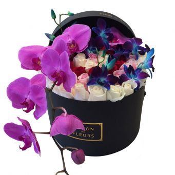 Purple Orchid Stem with Mixed Flowers in Black Round Box