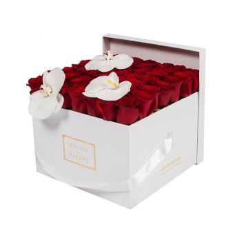 3 White Orchid Blooms and Red Roses in White Square box