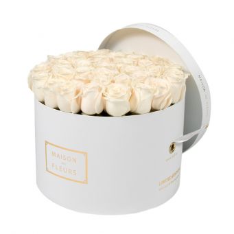 Cream Roses in White Round Box