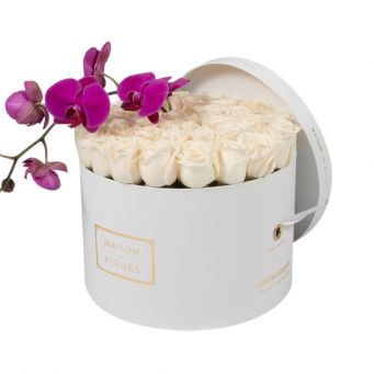 Cream Roses with Purple Orchid Stem in White Round Box