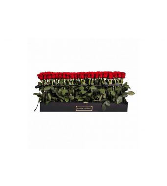 63 red roses in a 10 cm x 90 cm rectangular box