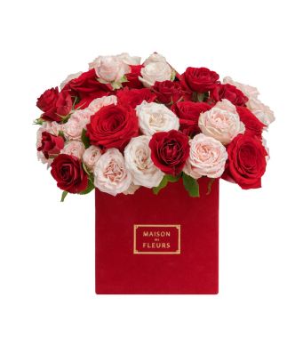 A rich red velvet box filled with the perfect combination of red and pink roses