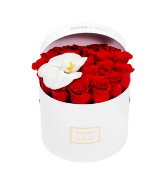 Red Roses And 1 Orchid Bloom In A 20 cm Round Box